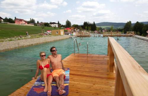 Holiday Home Hohenbogenwinkel by Interhome - Foto 10