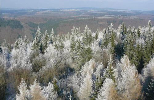 Welcoming Bungalows in Neustadt - Foto 54