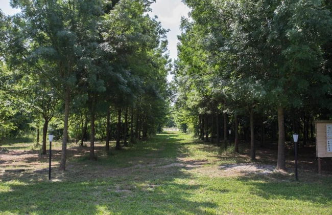 Venetian Villa With Pool and Sauna - Foto 30