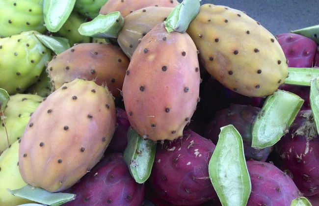 Tenuta Bartoli Maison de charme - Foto 20