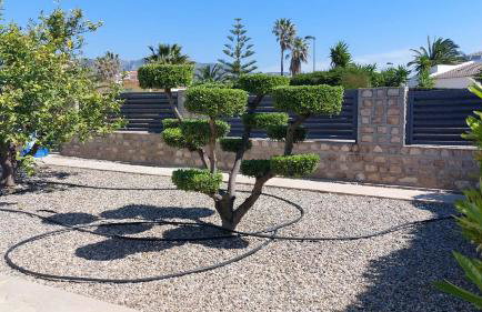 Casa La Rana - Foto 13