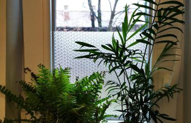 Angela Apartment - Photo 2