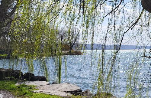 Sweet Home Caterina - Foto 11