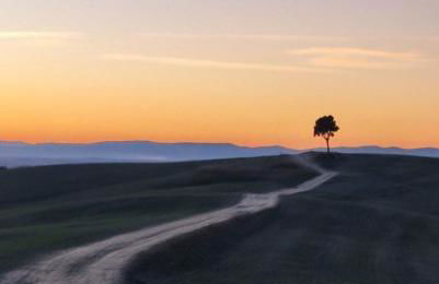 HILLS by Bibi Le Crete Senesi - Foto 50