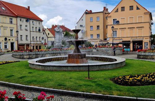 Apartament Książ - Foto 17