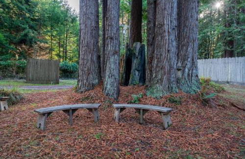 Serenity Grove - Foto 17