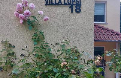 Little Lopsi - Foto 22