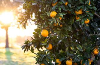 Na Quinta- alojamento rural com piscina de água salgada - Foto 45