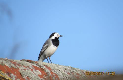 Ferienwohnung Rhönbergblick - Foto 33