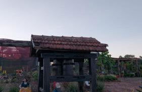 Acomodação do Viveiro Bela Flor - Photo 4