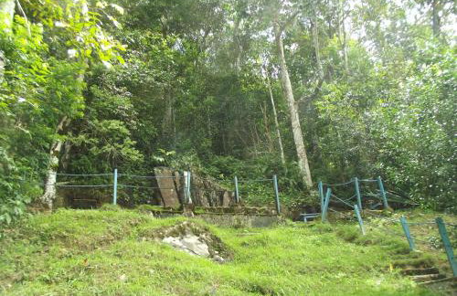 Estancia Vale das Flores - Foto 30