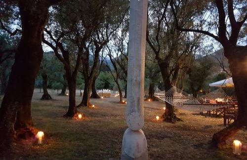 Antico Uliveto - Foto 34