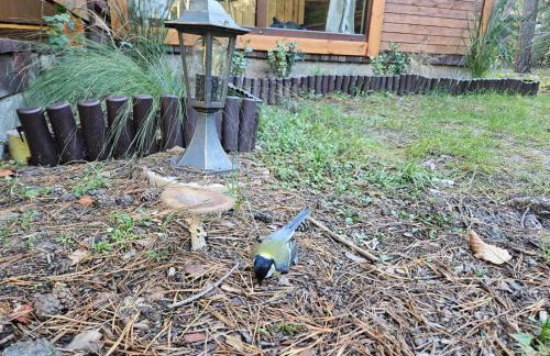 HomeWood - Popowo Letnisko - Foto 11