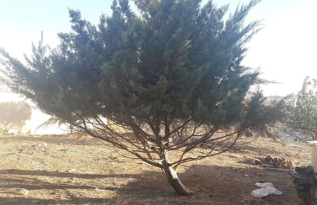 Villa Hmoud - Foto 5