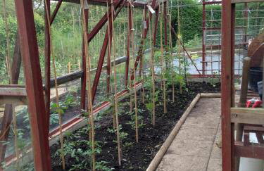 Hewletts Mill - Foto 24