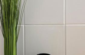 NUWILU TWO - WOHLFÜHLAPARTMENT im Herzen Erfurts - Magenta TV- Netflix - Disney - Foto 12