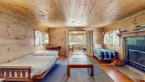 Garden Island's Pine - Foto 3