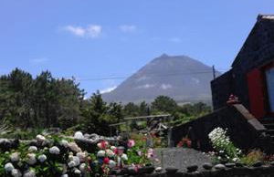 Casas Alto da Bonança - Photo 9