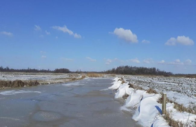 Stylish Thatched Villa with 2 Bathrooms near Giethoorn - Photo 31