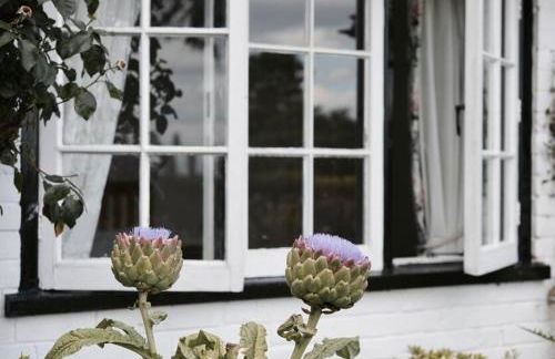 Highfield Lodge - Photo 29