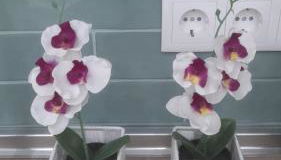 Casa CATALUÑA 14 - Foto 3