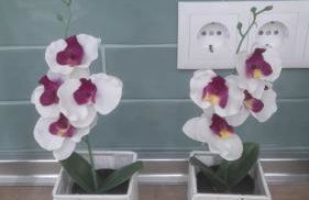 Casa CATALUÑA 14 - Foto 3