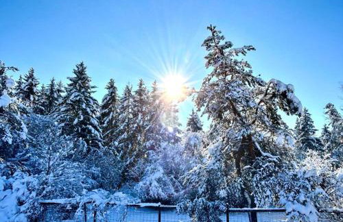 Ferienhaus Neckar 55 - Foto 26