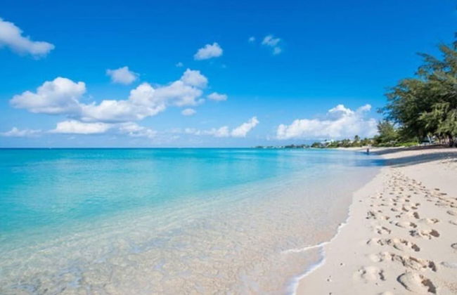 S2A Blue Pavilion - Beach Transfers Meals Tours Island Retro Chic - Photo 31