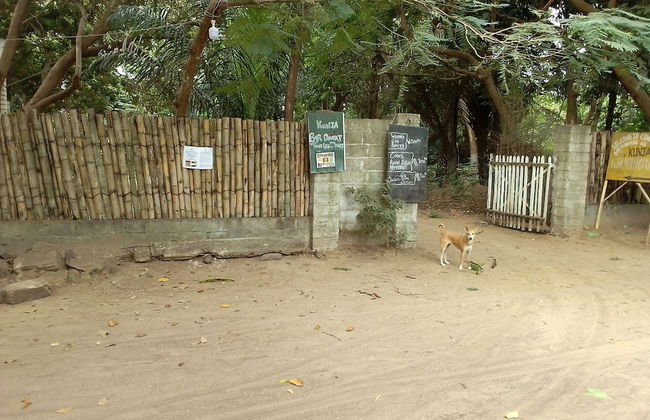 Campement Kunja kafountine - Foto 14