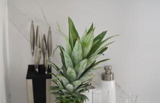 Luxury Villa Aleana - Foto 56