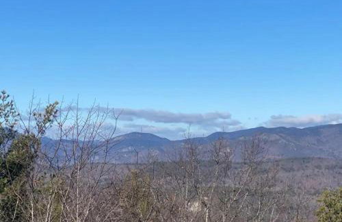 Presidential Dr - Foto 39