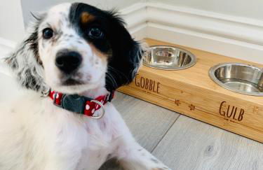 Castle Cottage - Photo 18