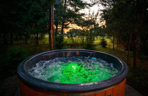 Dziupla House - Foto 74