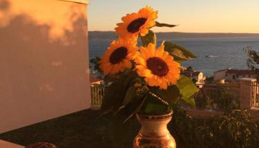 Apartments Rakuljic - Foto 2