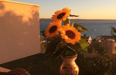 Apartments Rakuljic - Photo 2