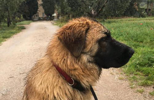 dalla campagna al mare - Foto 32