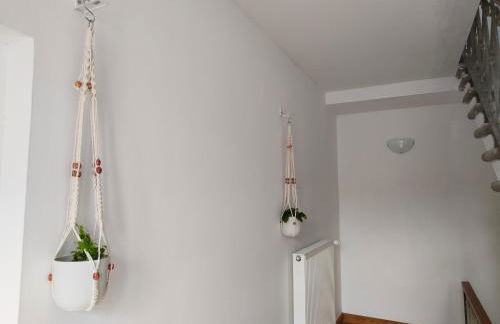 Da Francesca - Foto 5