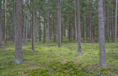 Agroturystyka Sominy - Foto 28