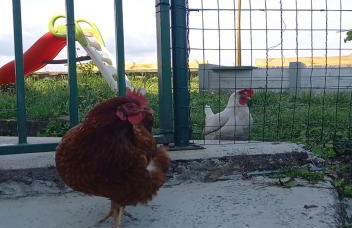 Beautiful Tagliolo - Foto 16