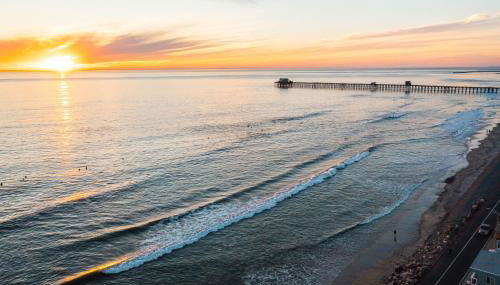 The Shining Sea Crab - Foto 4