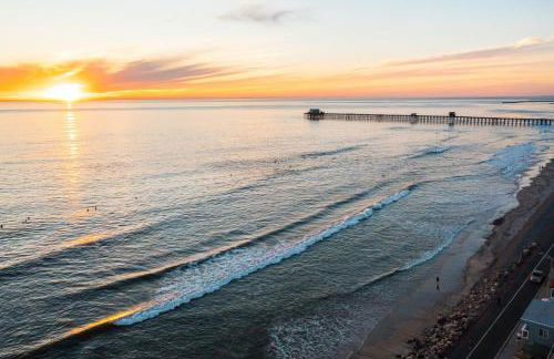 The Shining Sea Crab - Foto 4