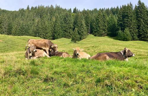 Ferienwohnung Bergleuchten - Photo 22