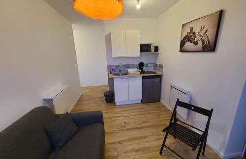 Studio tout equipé - Foto 1