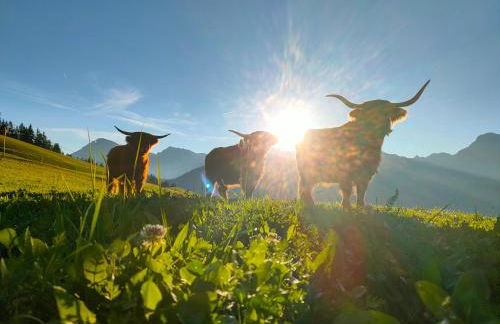 Chi Plans - Photo 35