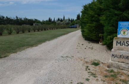 Mas Maurane - L'Olivier avec SPA privé aux portes d'ARLES - Foto 52