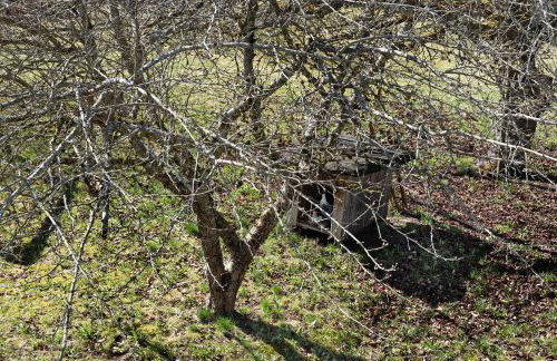 Ferienwohnung Schartenschmiede - Foto 37