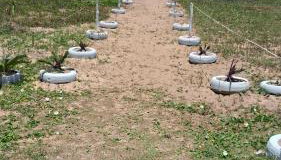 CABO FRIO, Pé na Areia - Foto 4