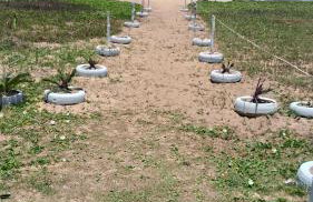 CABO FRIO, Pé na Areia - Foto 4