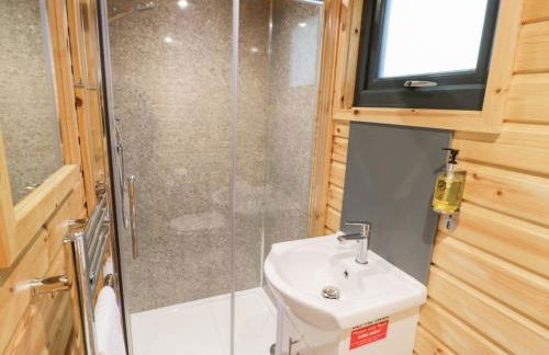 The Shepherds Hut at Bridge Lake Farm & Fishery - Foto 12