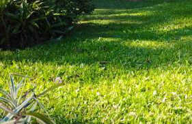 Casa de campo zona rural- wifi - lareira - - Foto 7